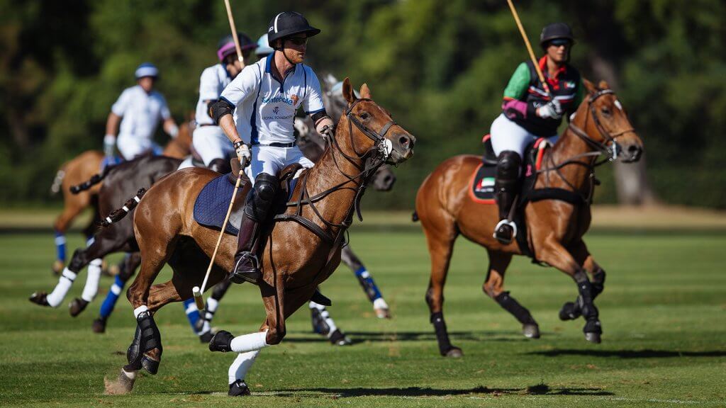 British polo day