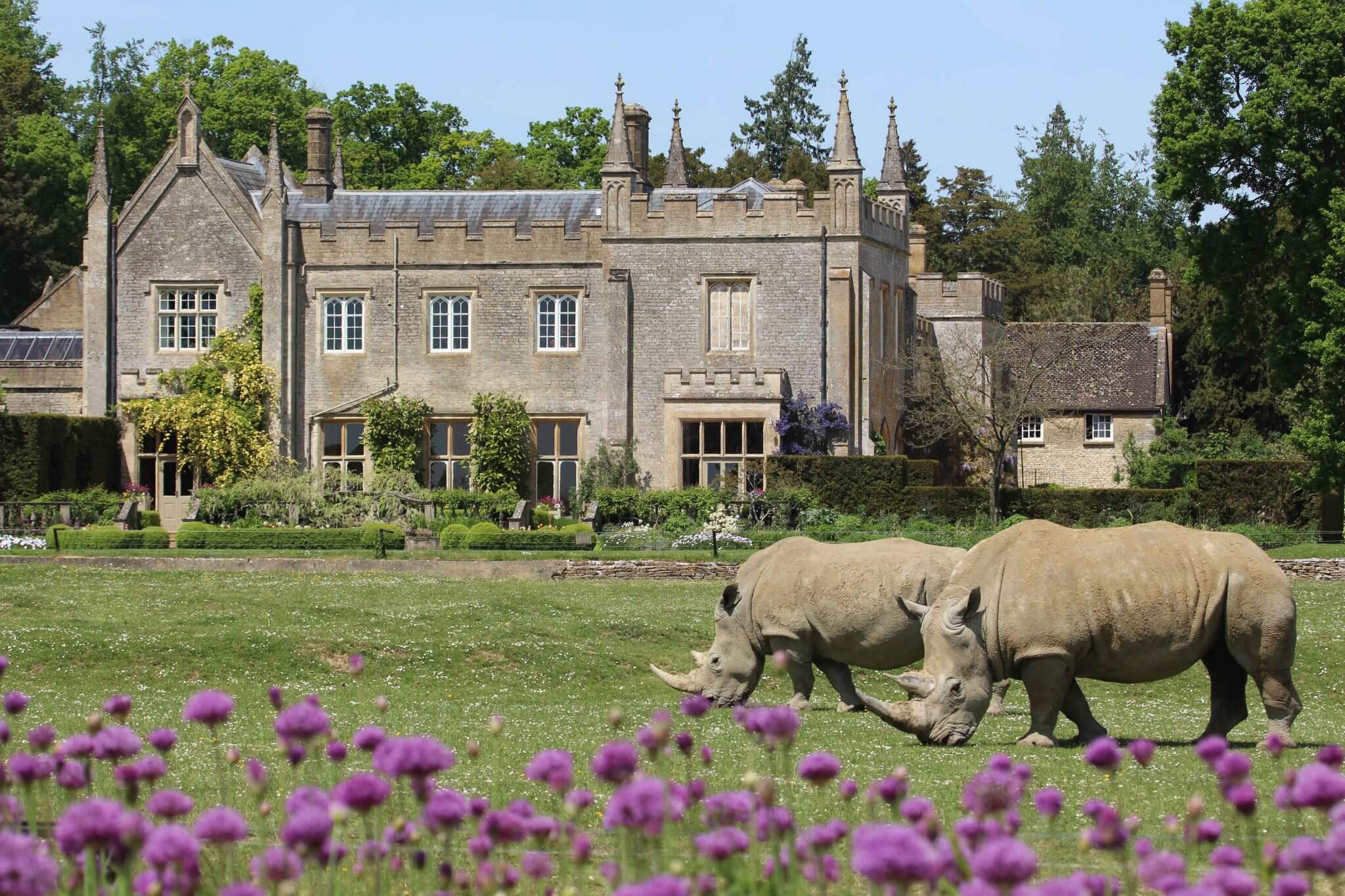 Cotswold Wildife Park