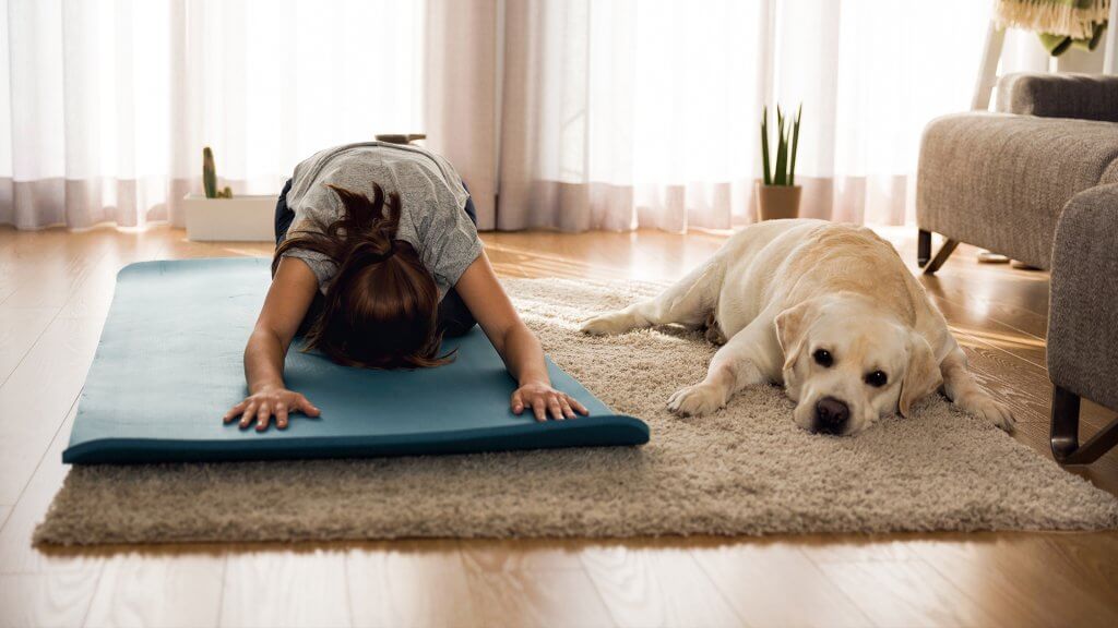 dog yoga