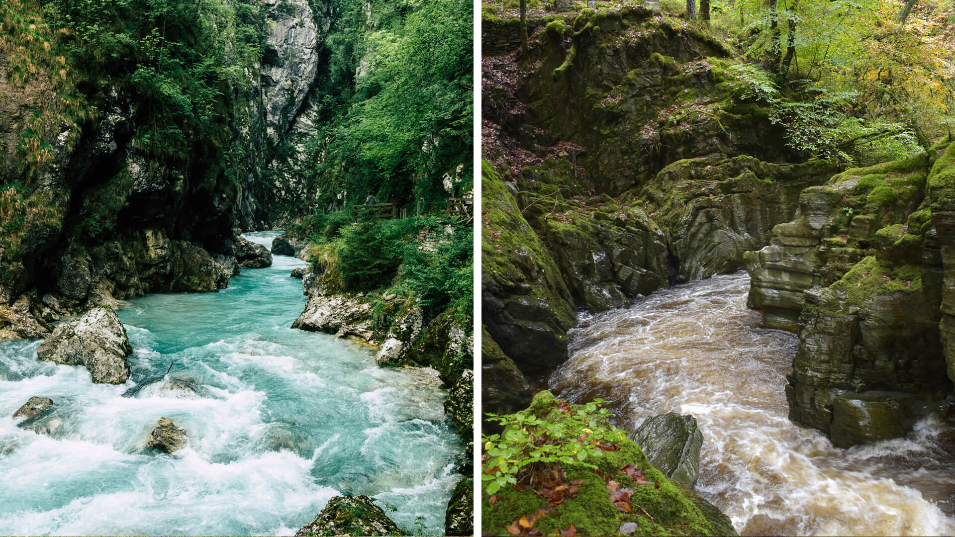 Slovenian Forests & Lakes Road Trip vs. Welsh Forests and Lakes Road Trip