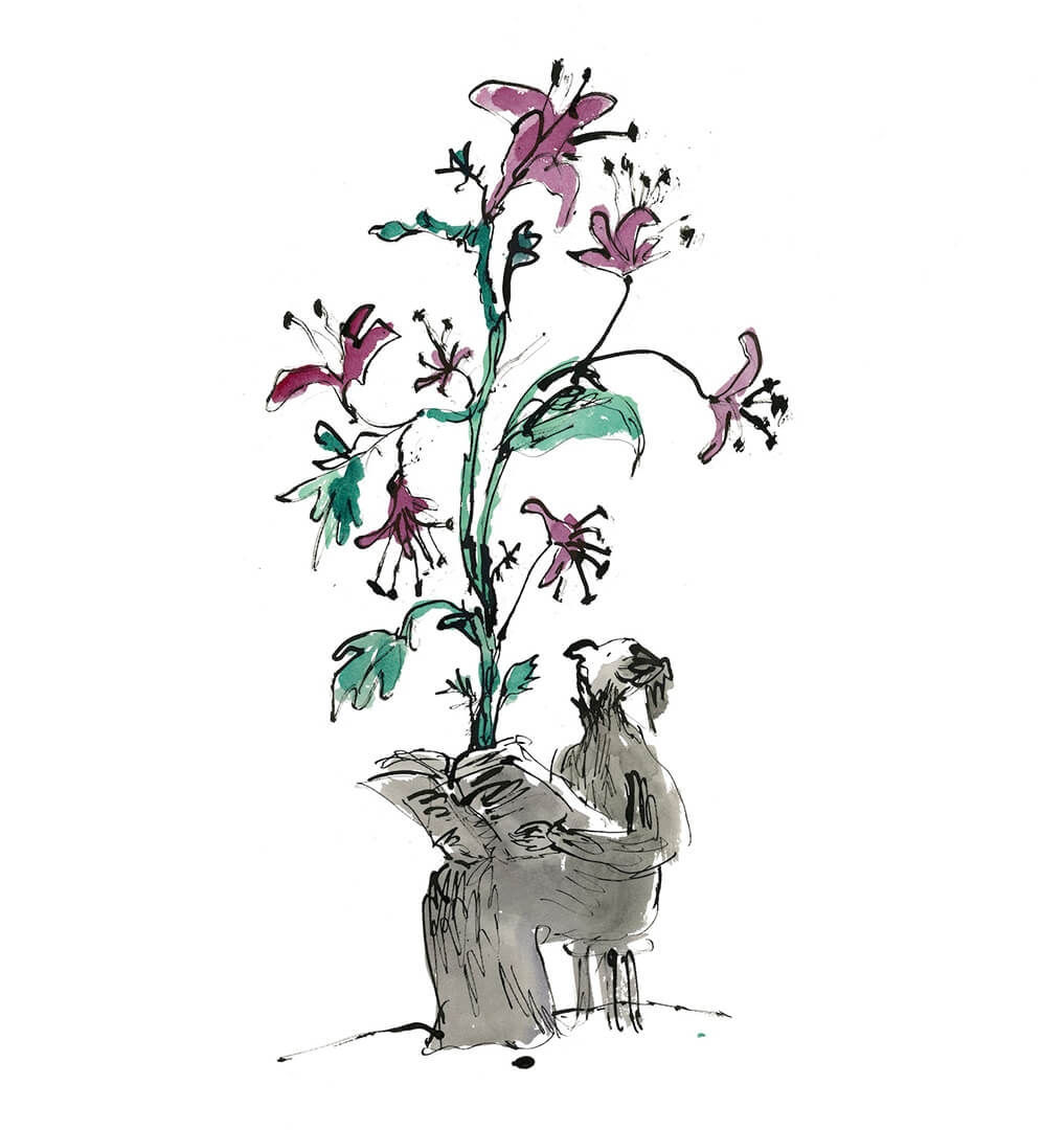 Quentin Blake