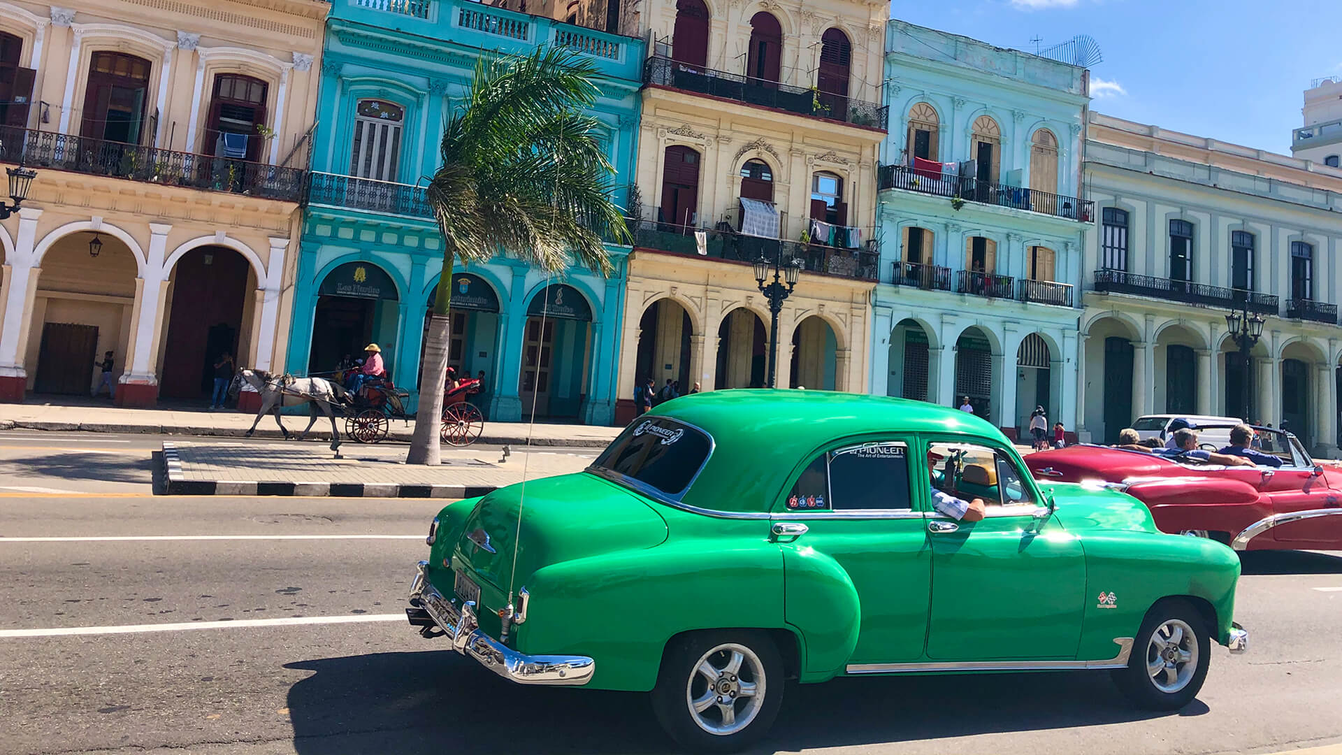 Havana