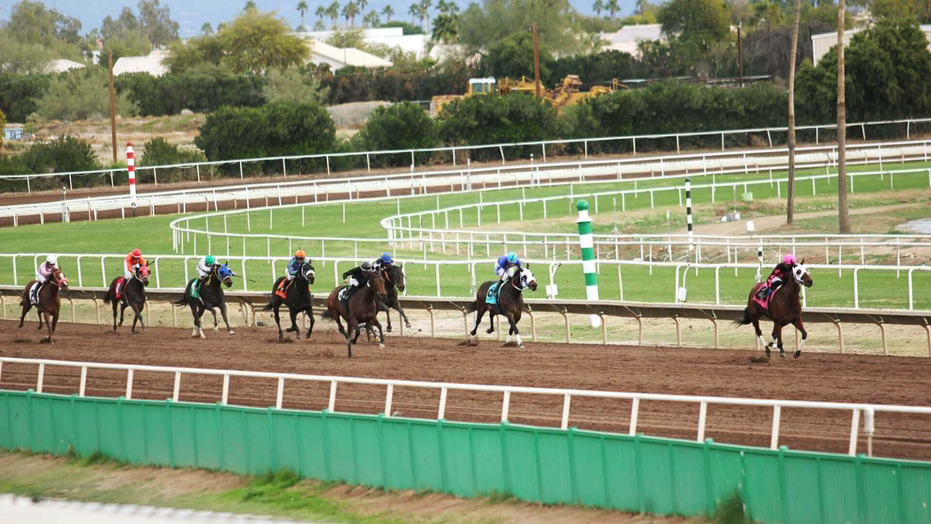 Rosehill Race course