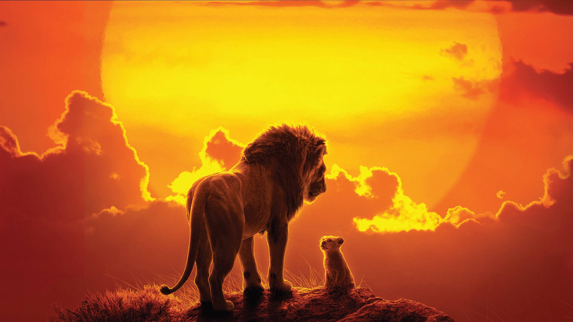 Lion King