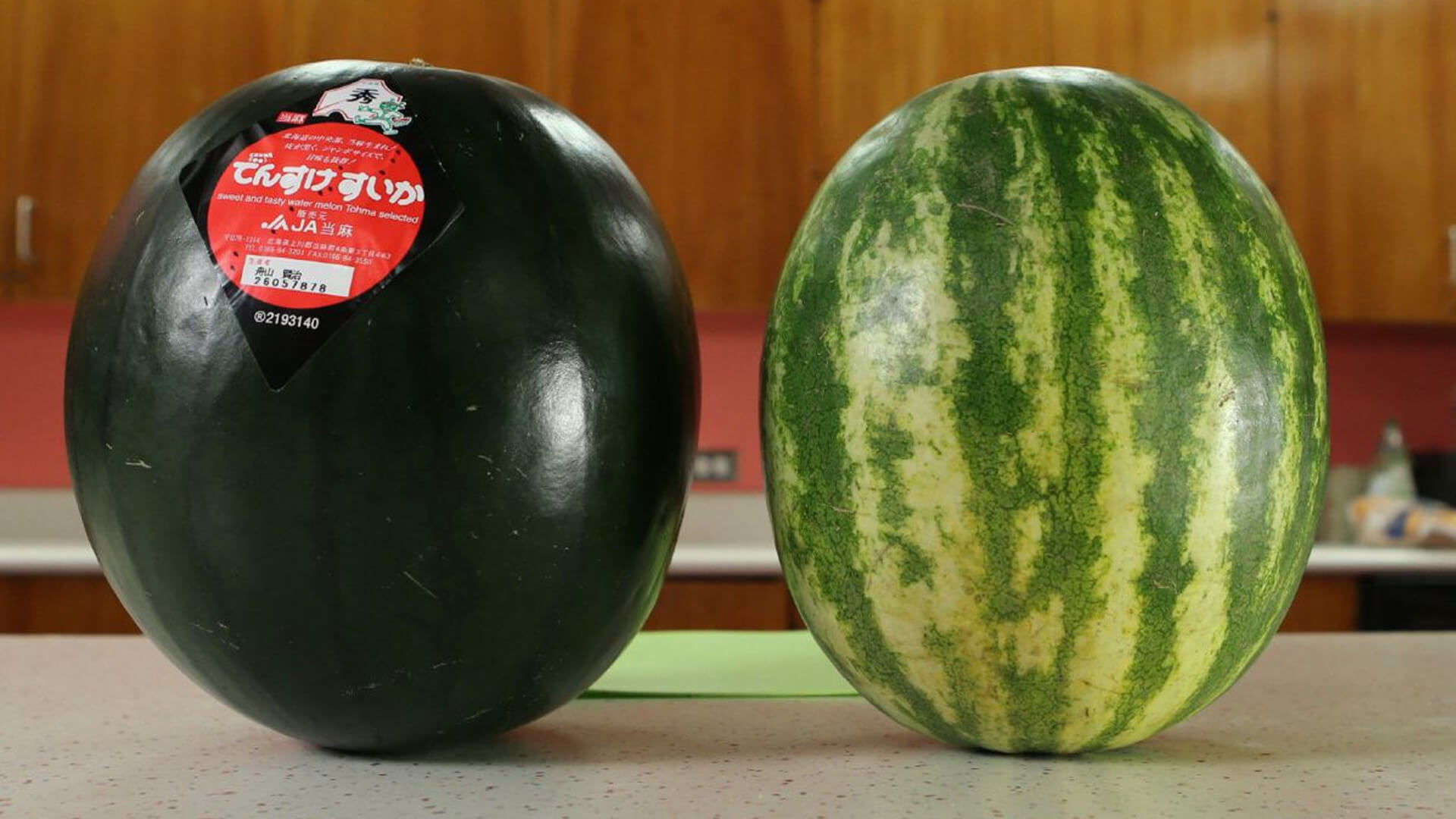 Black Densuke Watermelon