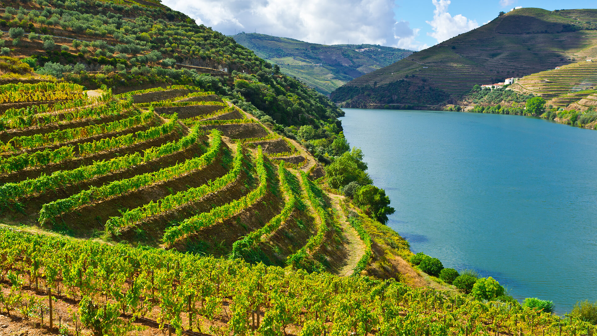 Portugal Douro Valley