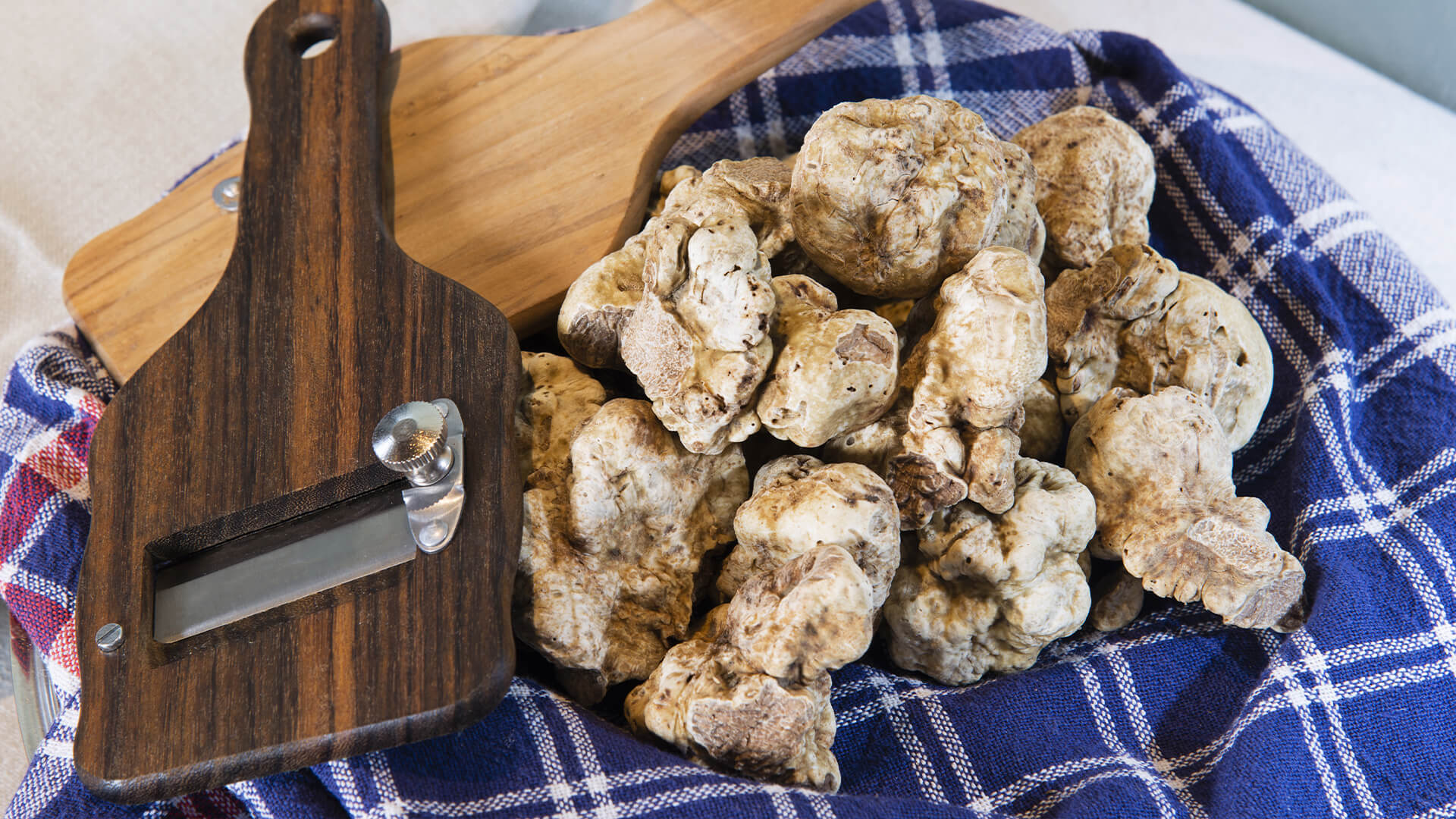 White Alba Truffles