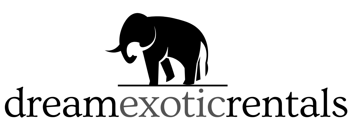 Winner small image - dreamexoticrentals.com