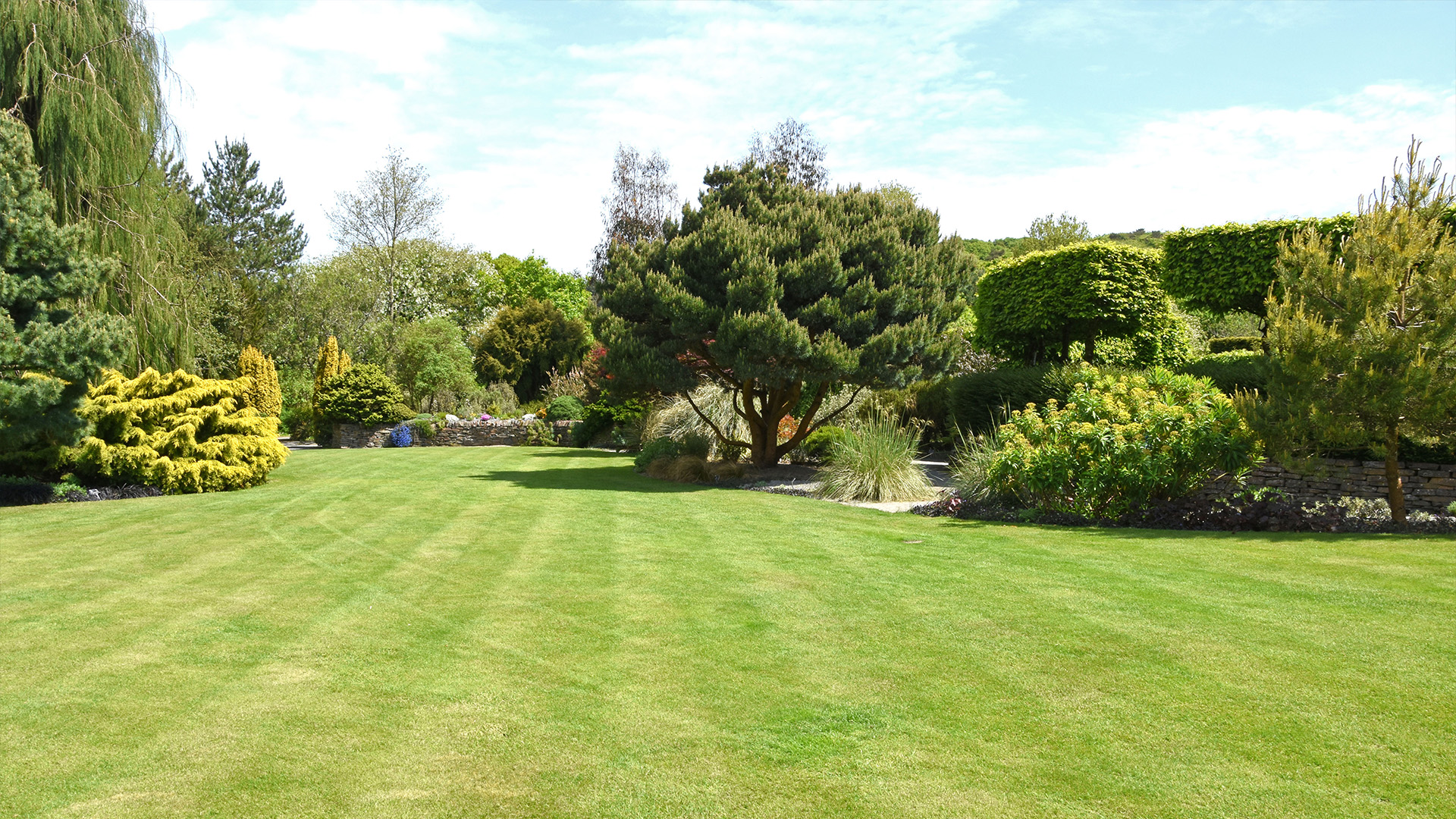 Gardening Trends - LUXlife website article image