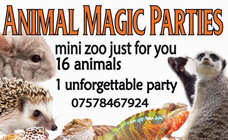 Winner small image - Animal Magic Parties