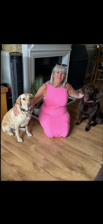 Winner small image - St Johns Walkies