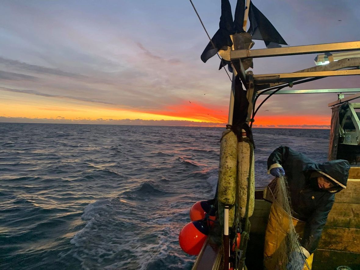 Winner small image - Colchester Fresh Fish