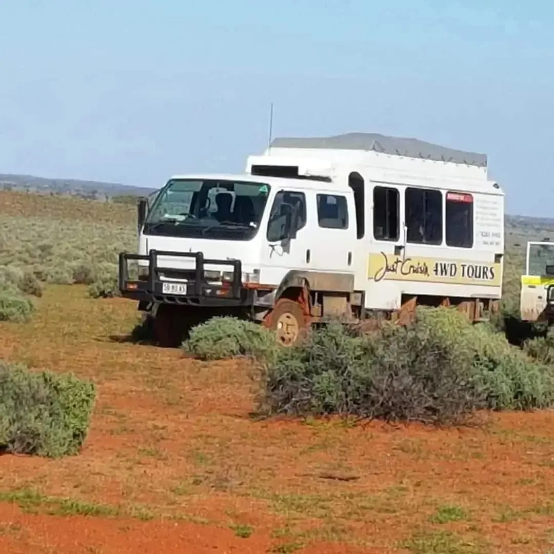 Winner small image - Just Cruisin 4Wd Tours