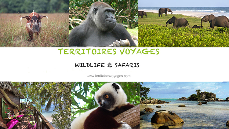 Winner small image - Territoires Voyages