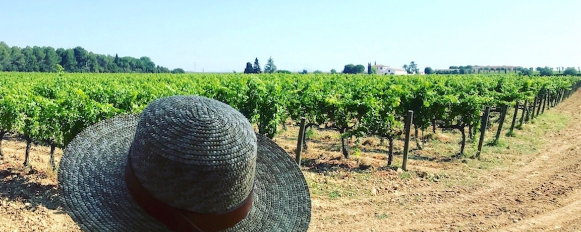 Winner small image - TopWineExperience