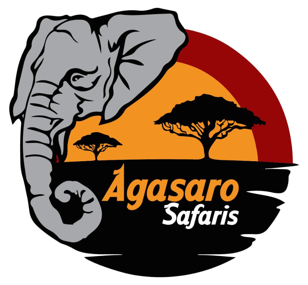Winner small image - Agasaro Safaris Limited