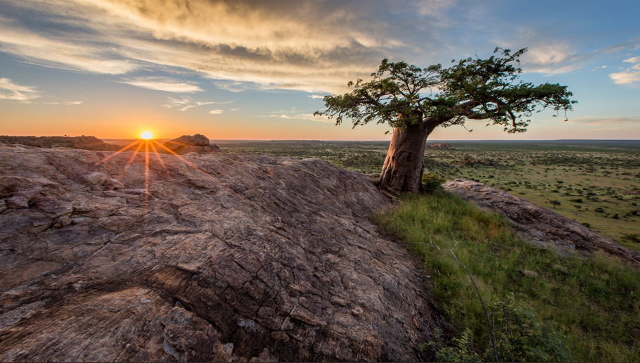 Winner small image - Mashatu Game Reserve