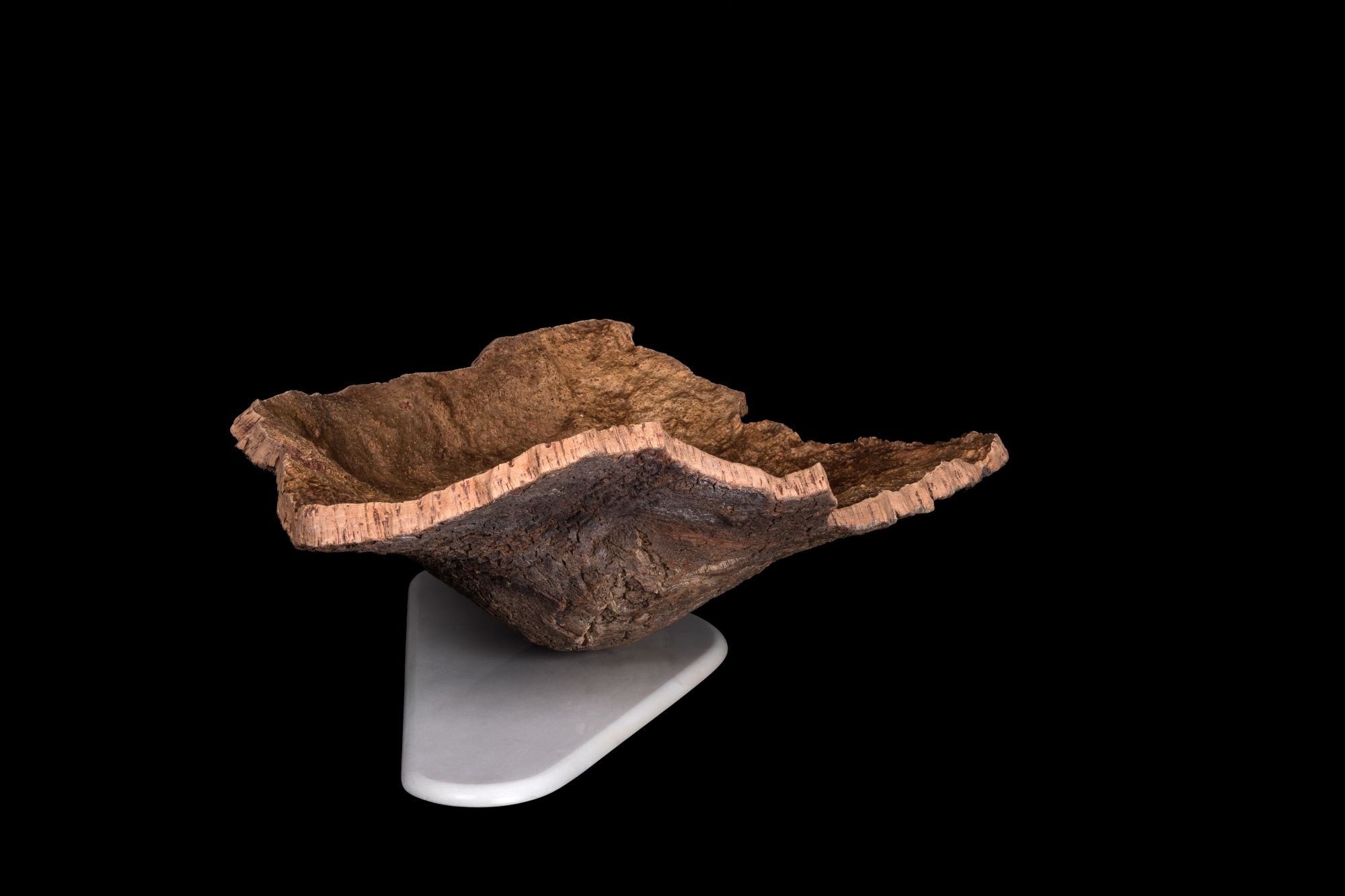 Winner small image - Sildel – We Think Cork