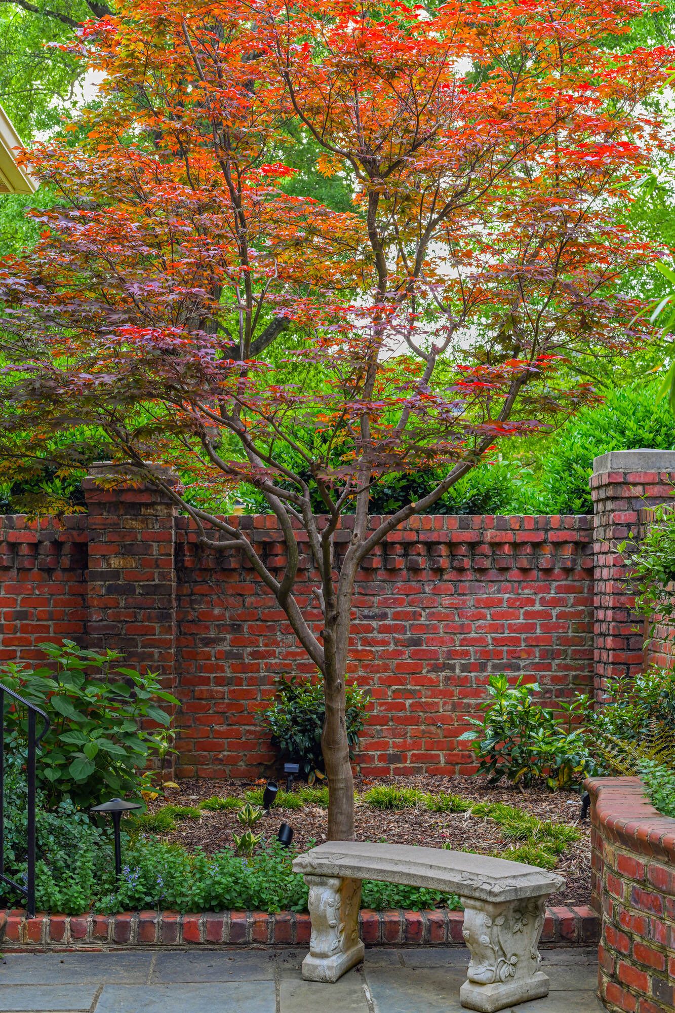 Winner small image - Ambiance Garden Design LLC