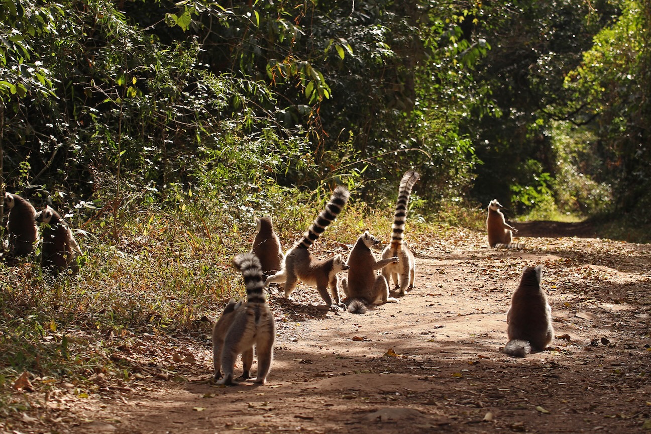Winner small image - The Hidden Forest Wildlife Sanctuary