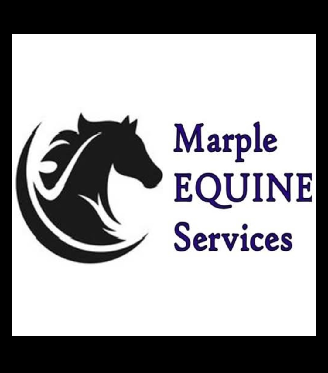 Winner small image - Marple Equine Services