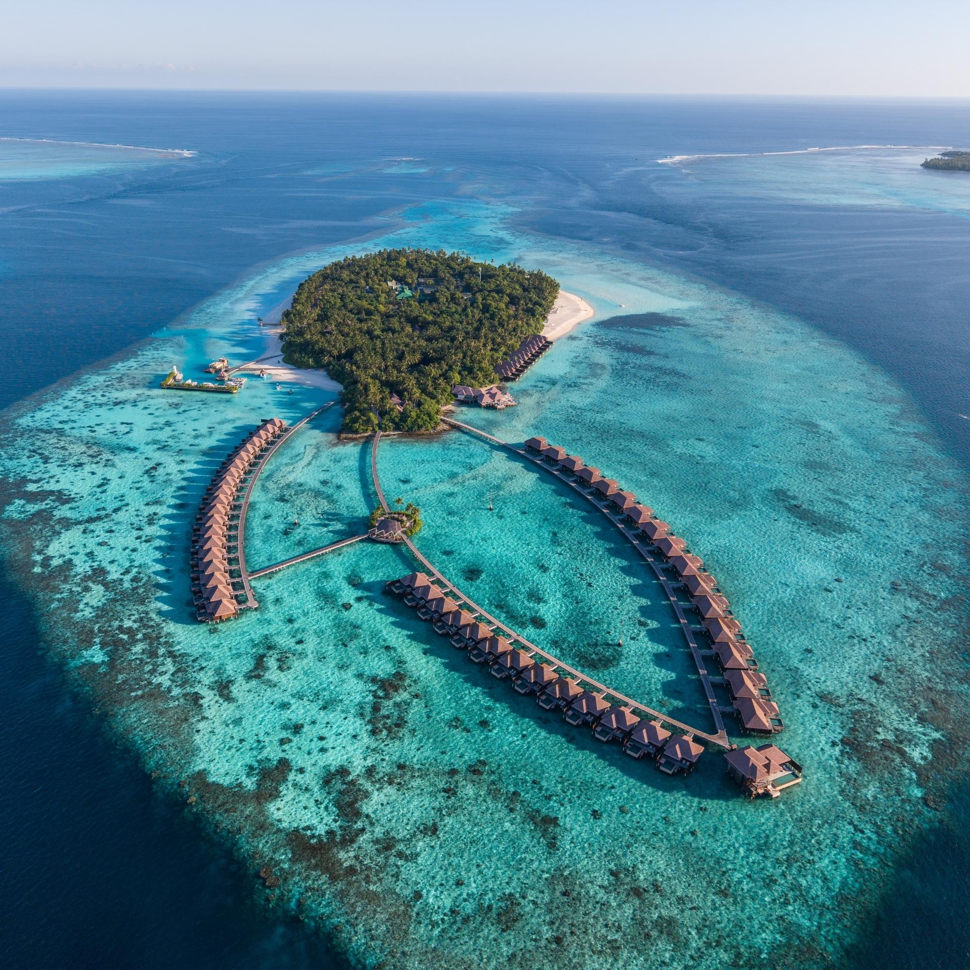 Winner small image - Ayada Maldives