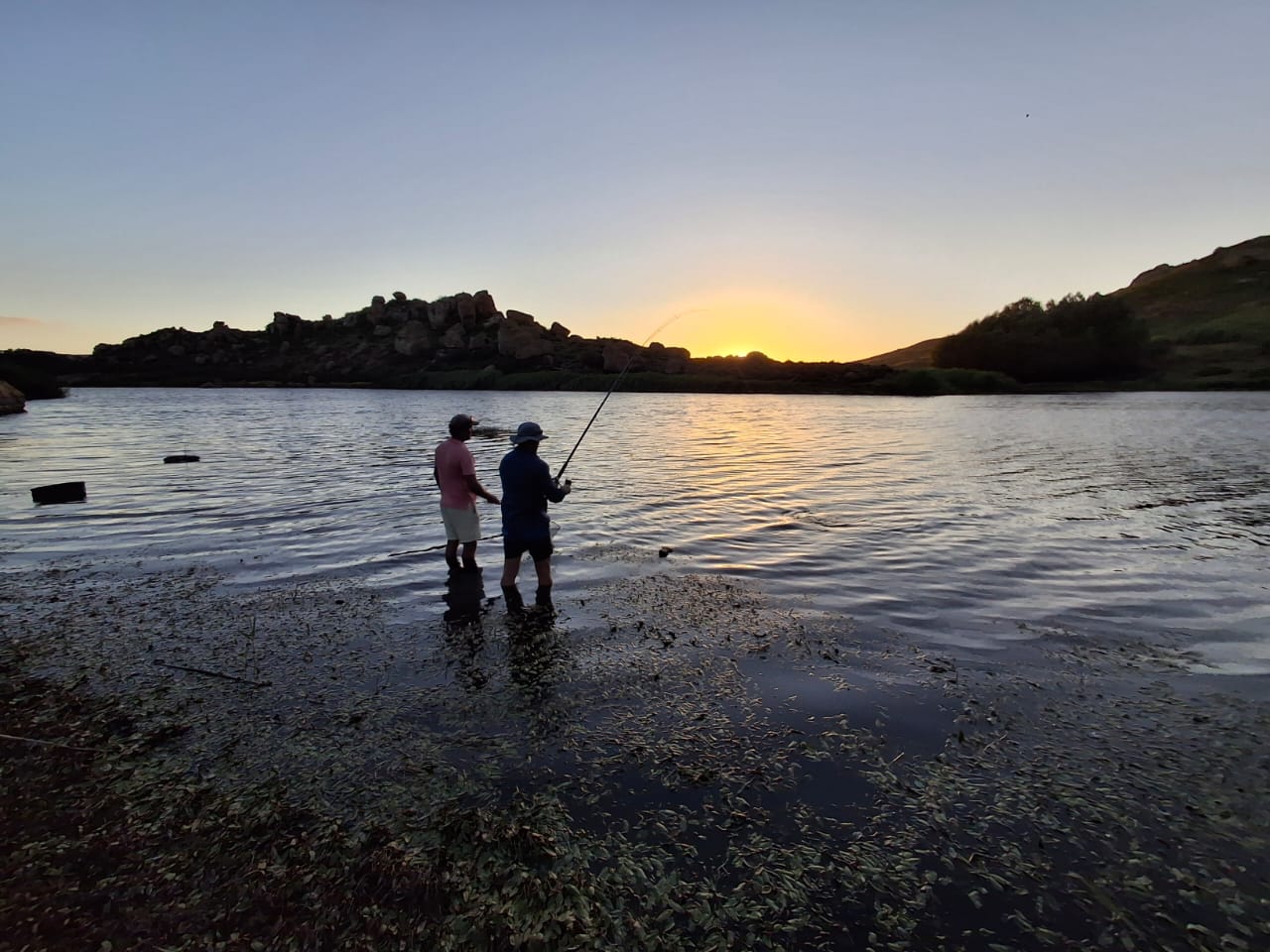 winners chosen image