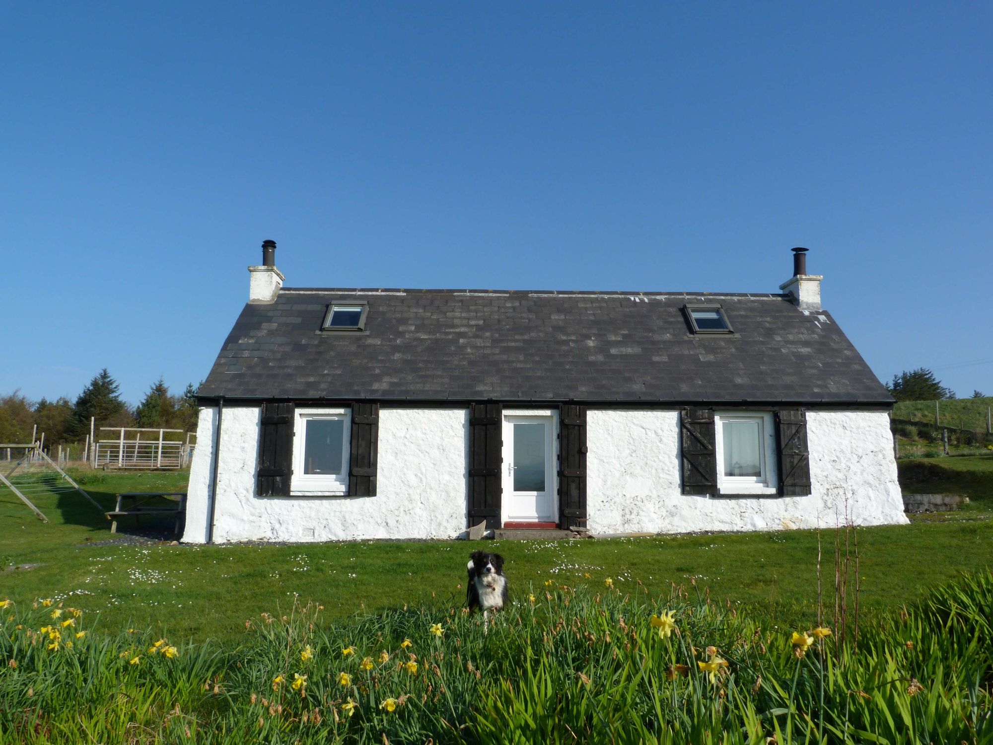 Winner small image - Caolas Beag Holiday Cottage
