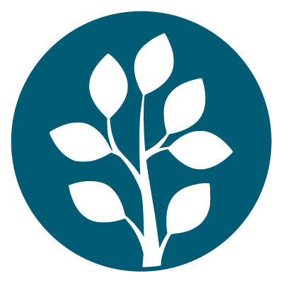 Winner small image - Balkland