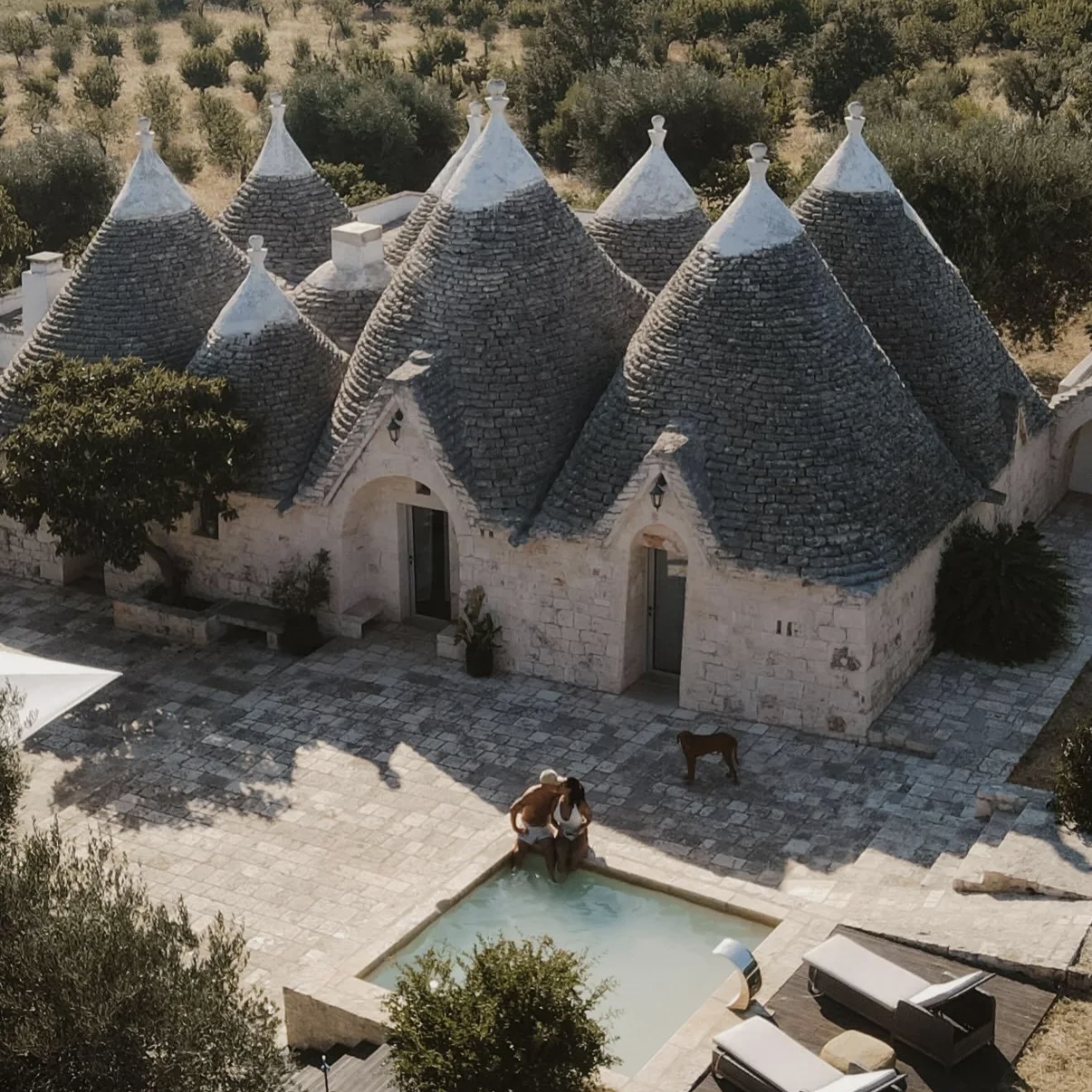 Winner small image - Trulivo