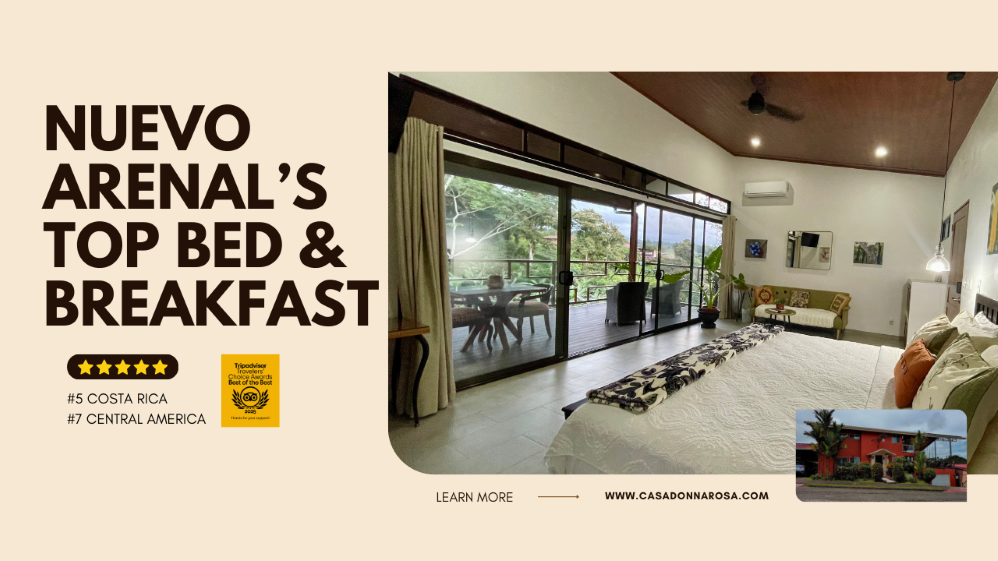 Winner small image - Casa Donna Rosa Boutique Bed and Breakfast