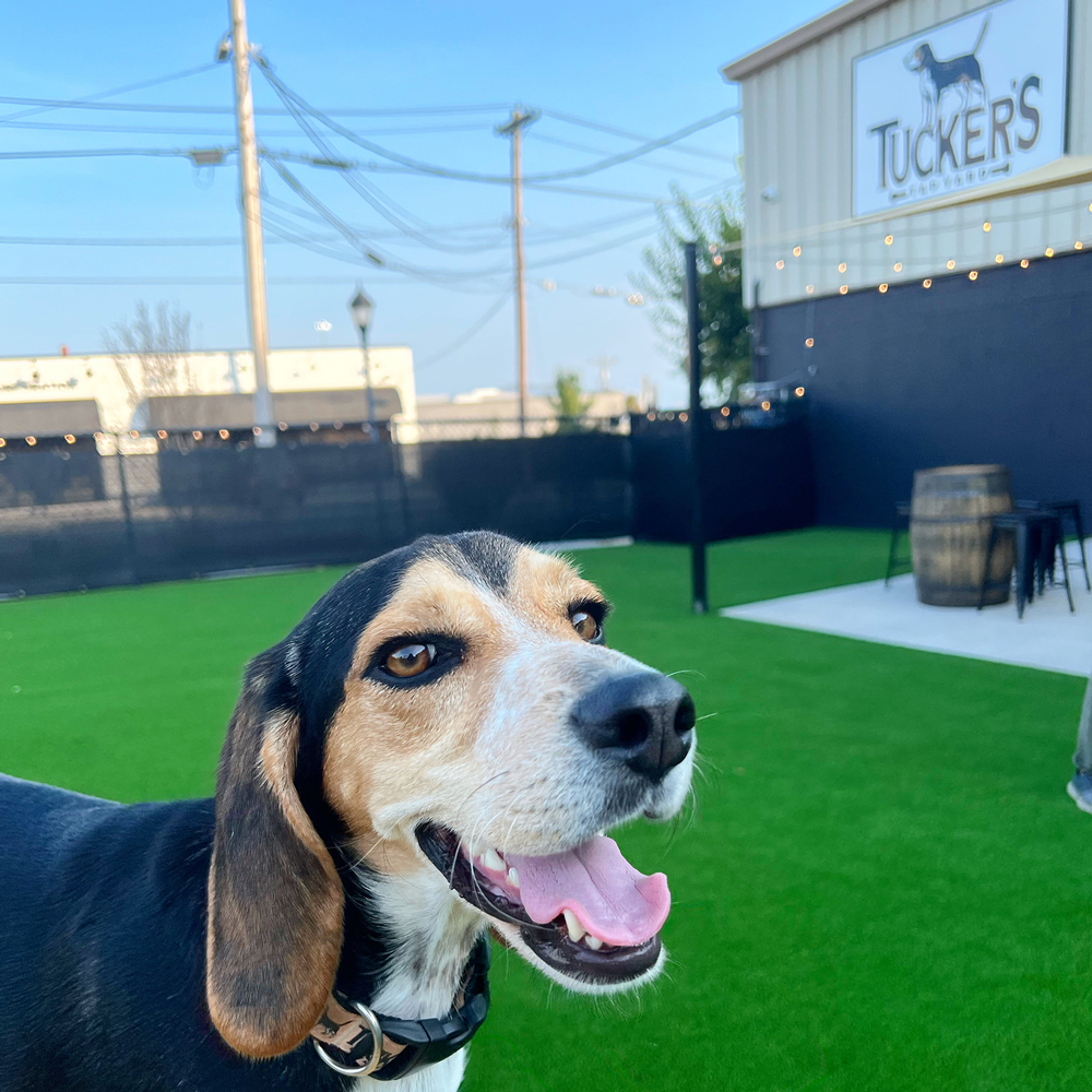 Winner small image - Tucker’s Tap Yard