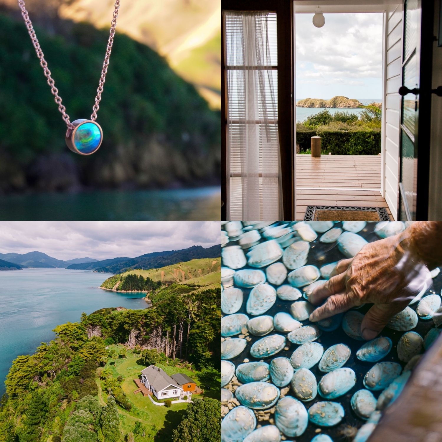 Winner small image - Arapawa Blue Pearls and Accommodation