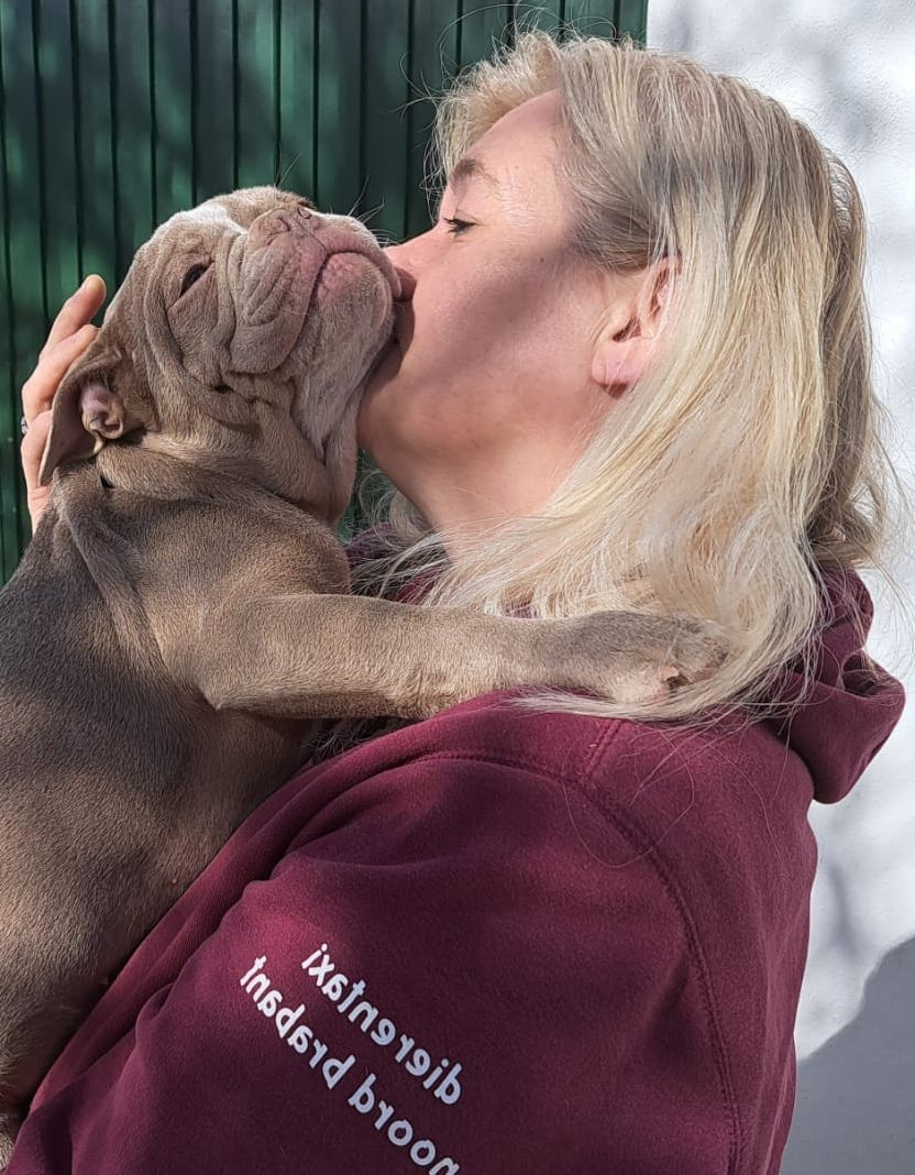 Winner small image - dierentaxi noord brabant