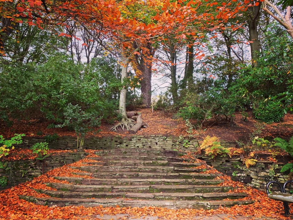 Winner small image - Silverburn Park