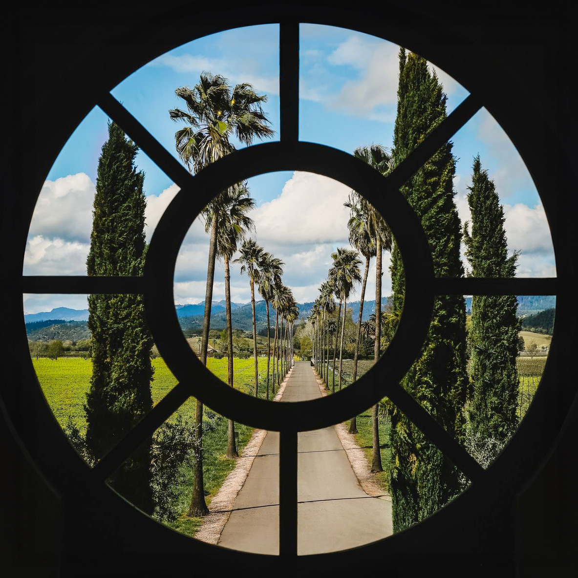 Winner small image - Round Pond