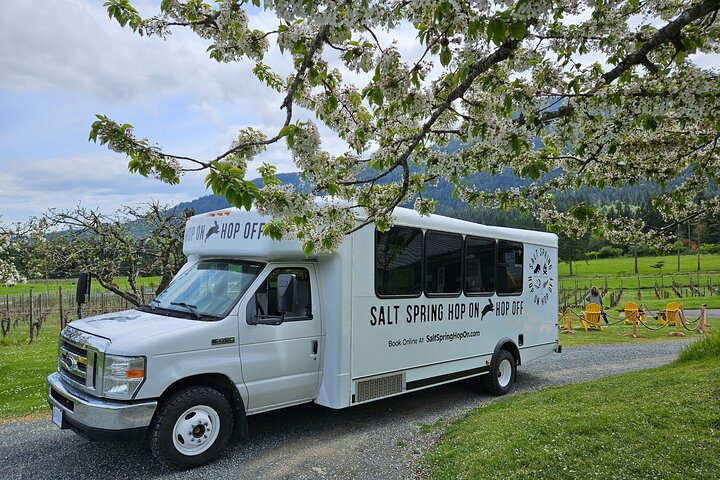 Winner small image - Salt Spring Hop On Hop Off Tours
