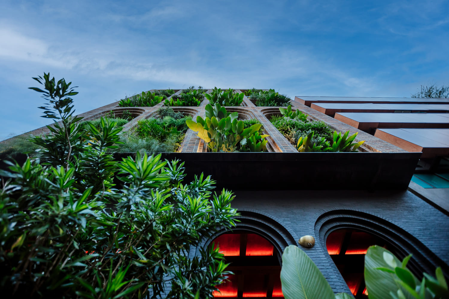 Winner small image - GRUPO EL ZARZO SAS.