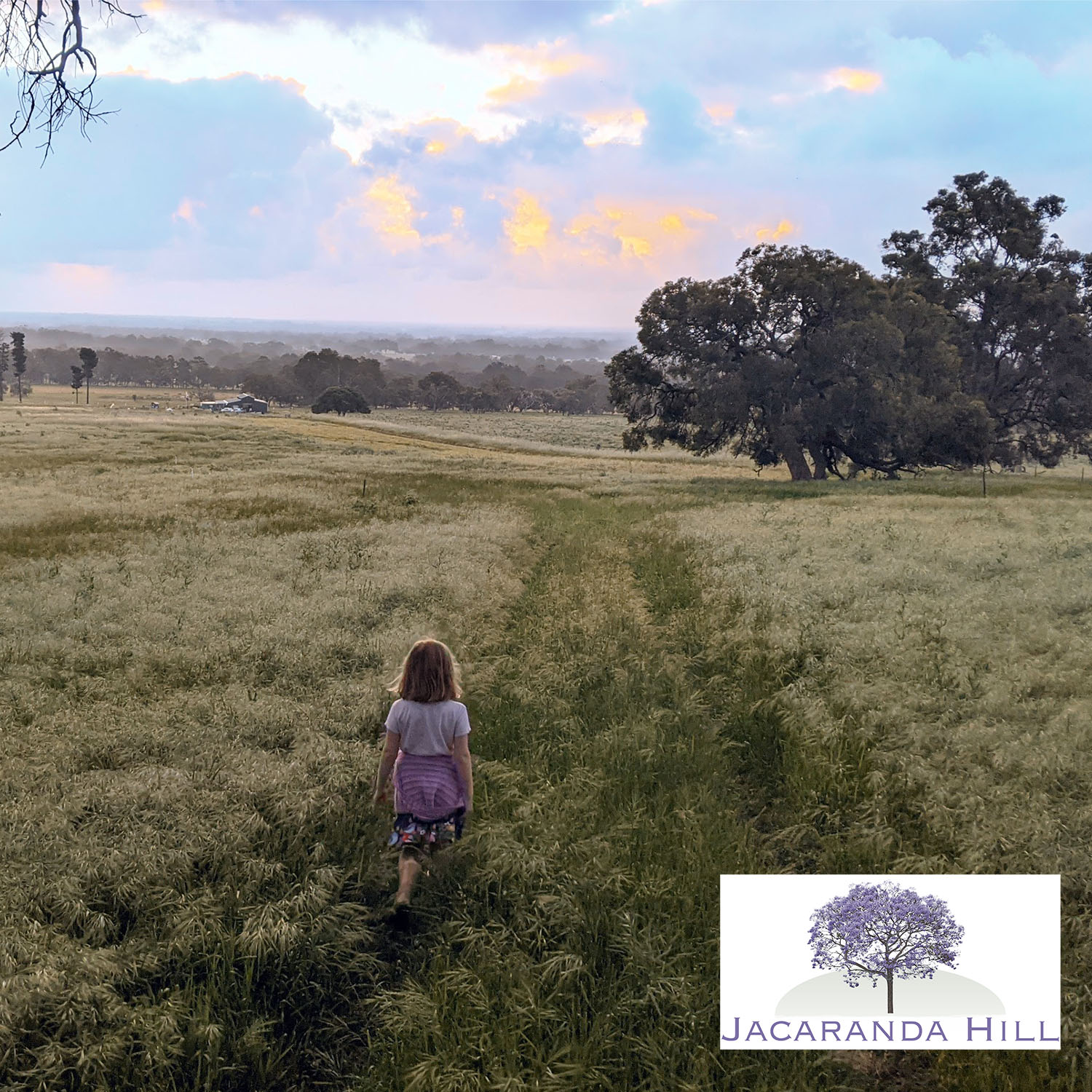 Winner small image - Jacaranda Hill Farm