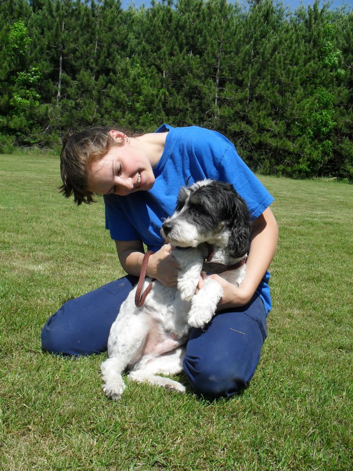 Winner small image - Royal Pets, Hotel and Enrichment