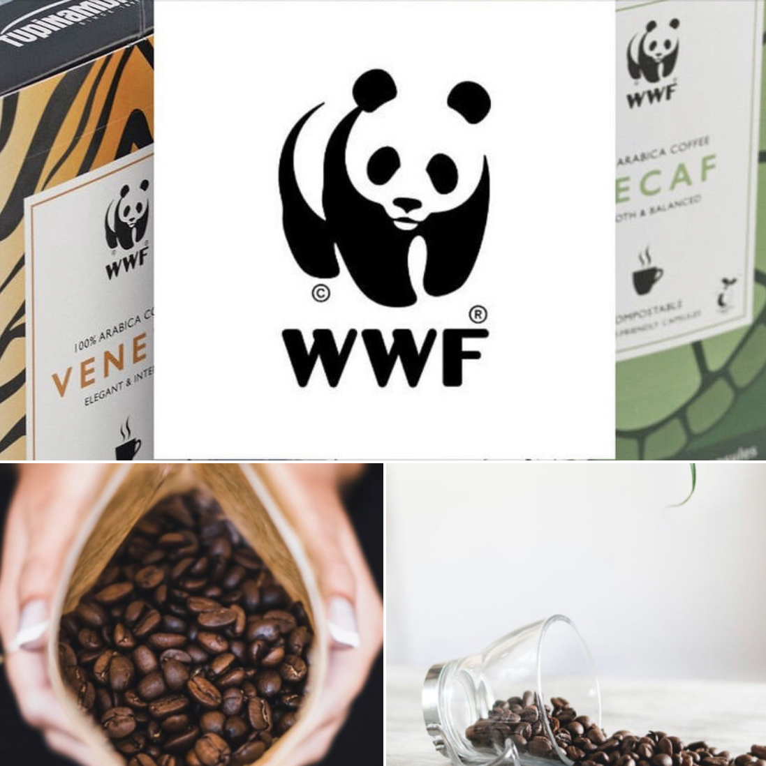 Winner small image - Tupinamba Coffee