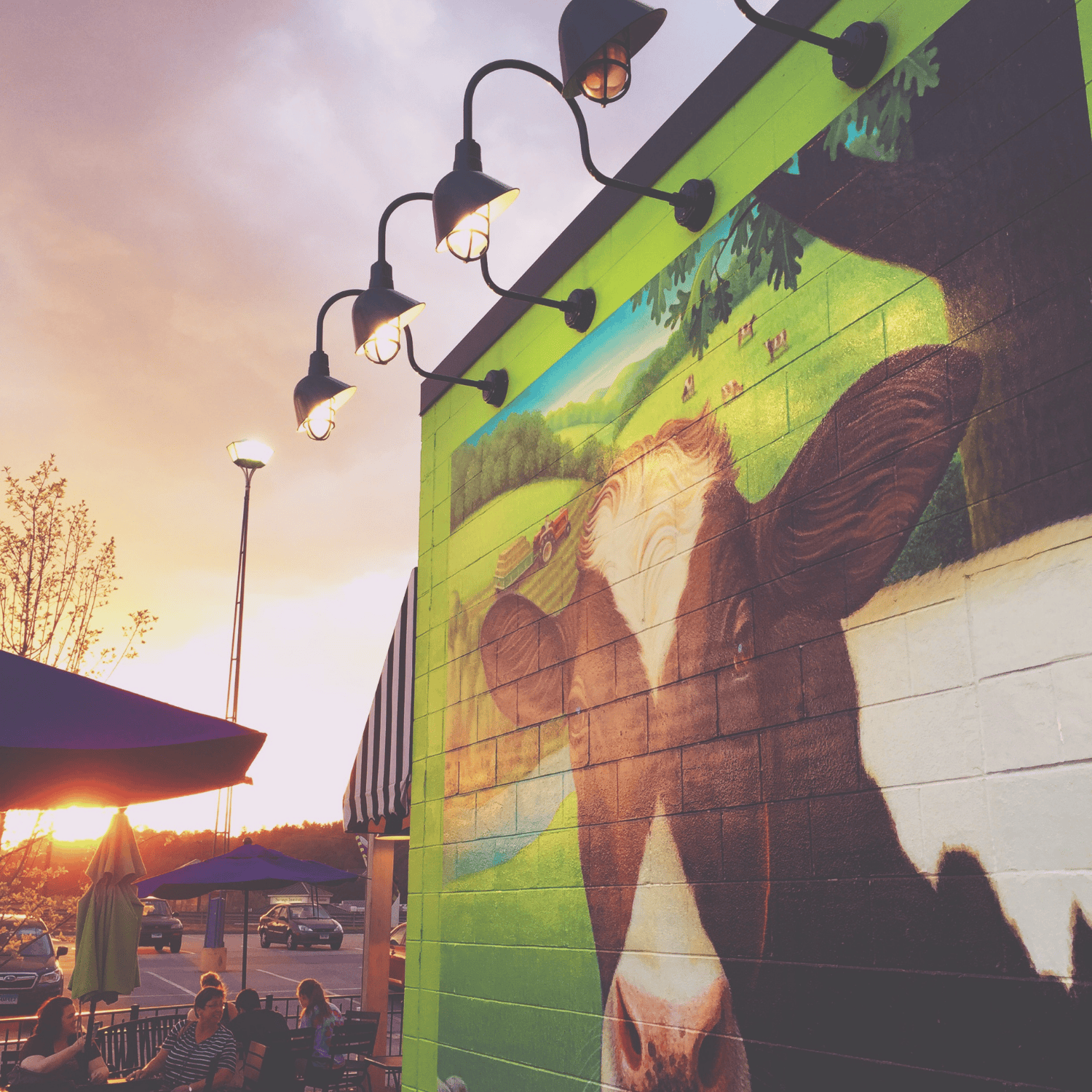 Winner small image - The Farmer’s Cow Calfé