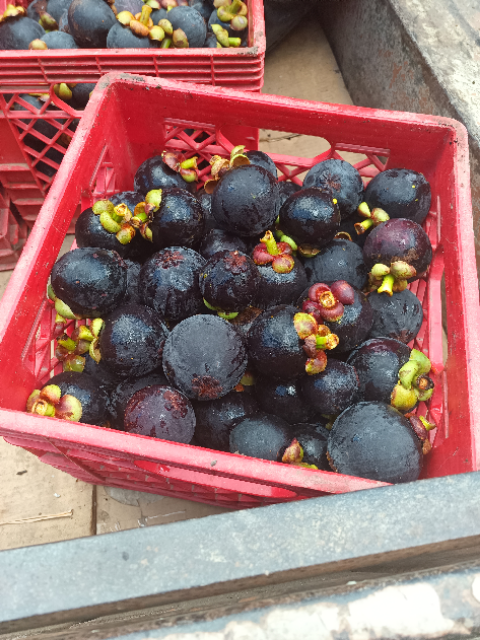 Winner small image - Panoramic Fruit