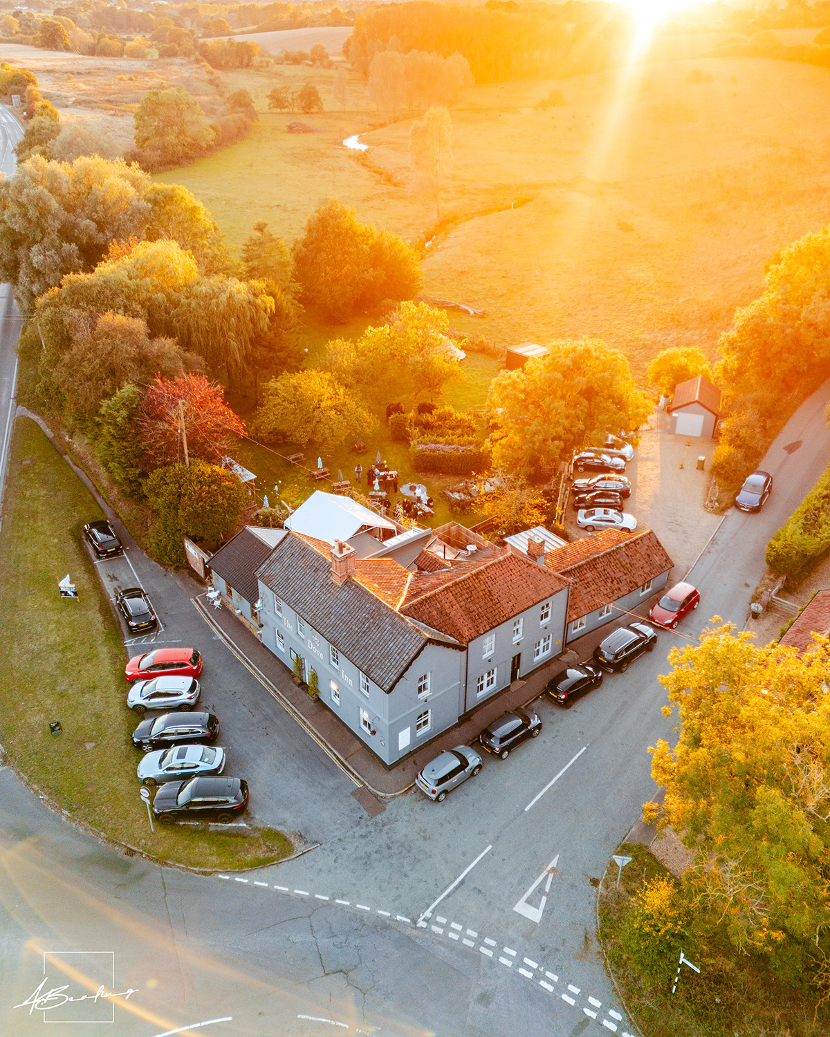 Winner small image - The Dove Inn