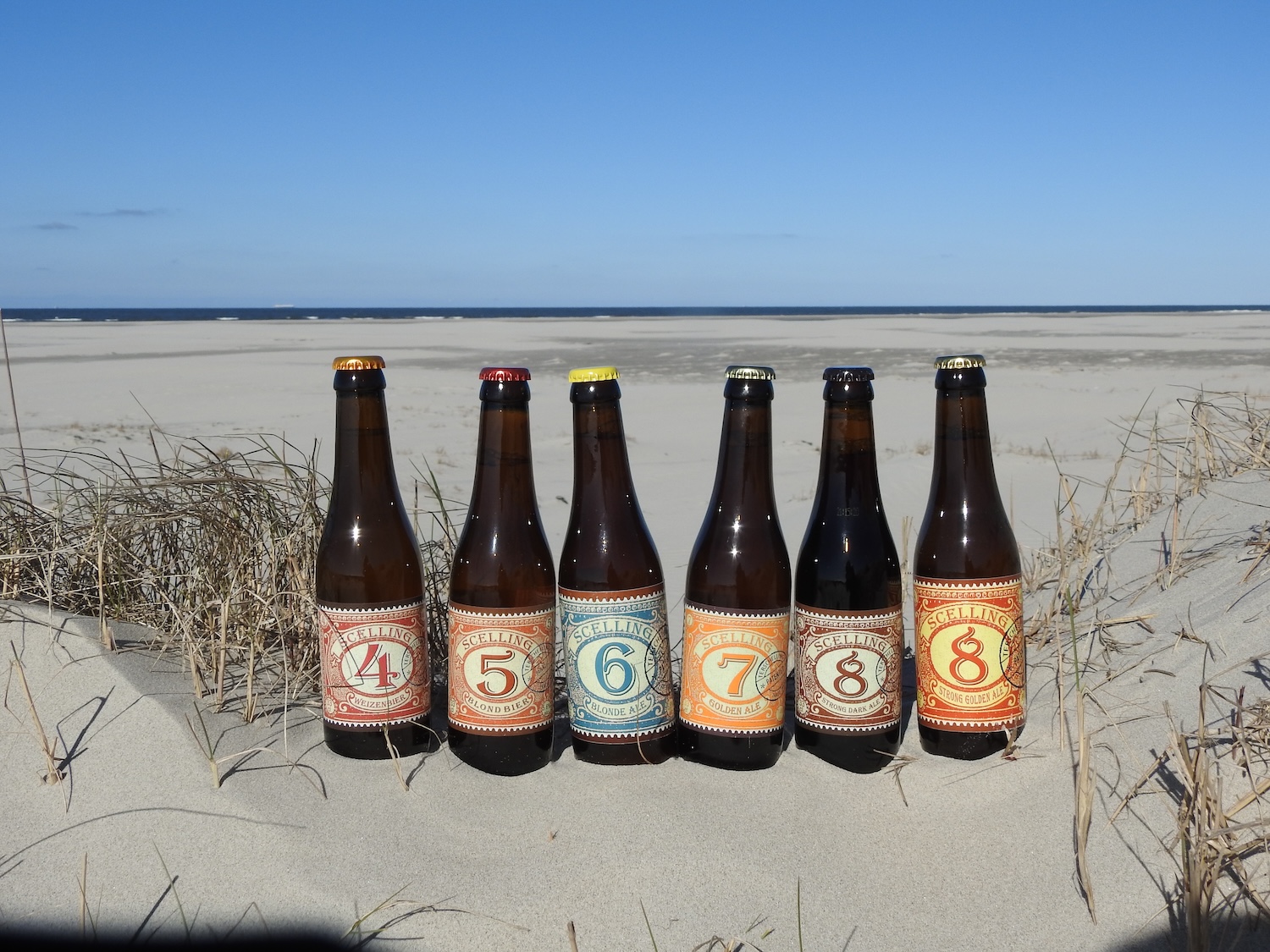 winners chosen image