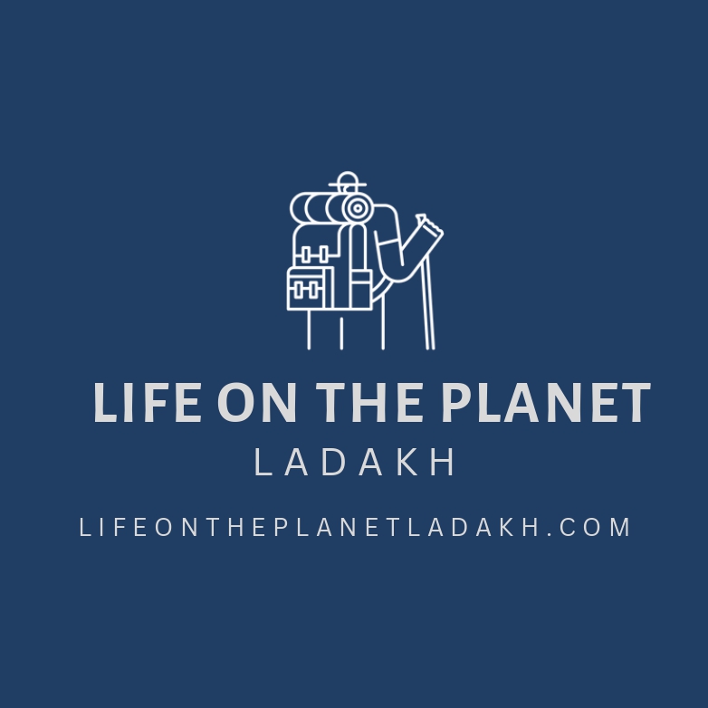 winners chosen image