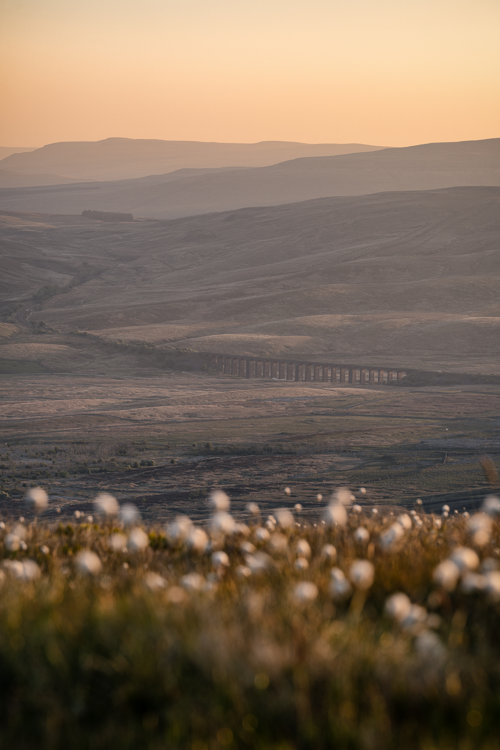 Winner small image - Owen Tomkins Photography