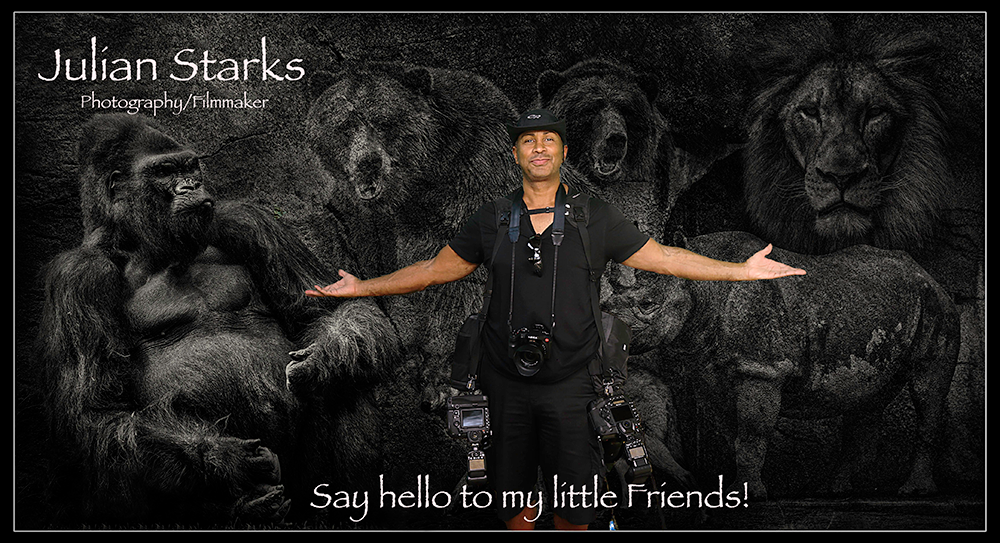 Winner small image - Visions of the World Inc