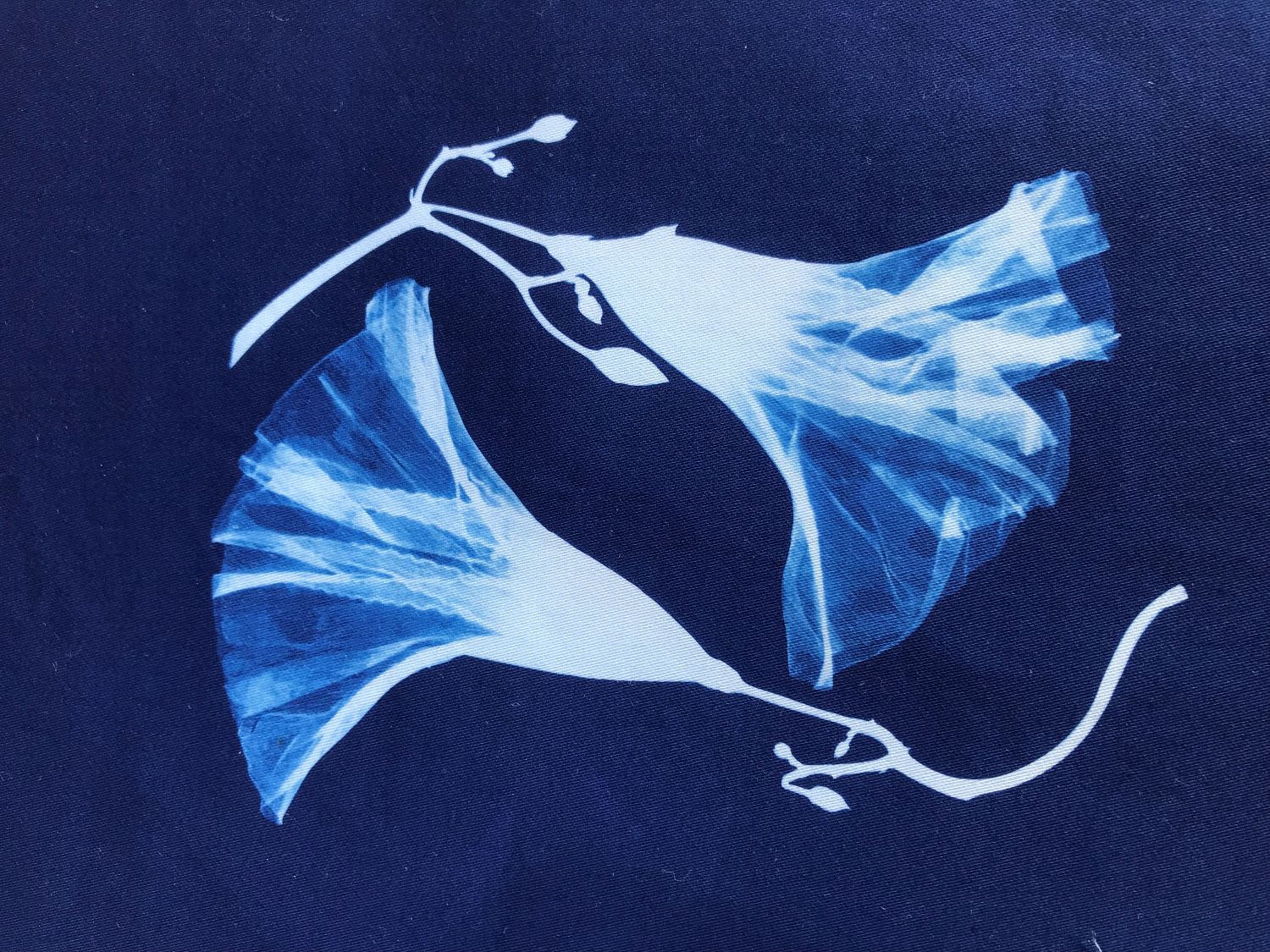 Winner small image - Hazleton Art