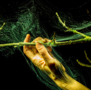 Winner small image - Emotion for Change